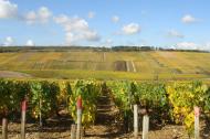 Daniel-Etienne Defaix et ses Chablis